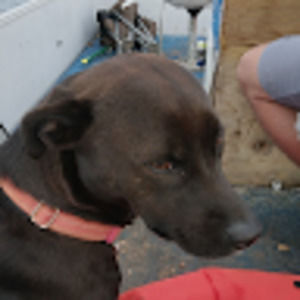 Meet your Posher, Aiden